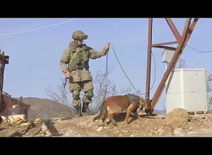 Разминирование территории Нагорного Карабаха в районе Мартуни