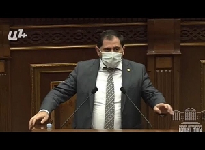 Короткая дискуссия между Папикяном и Анной Григорян