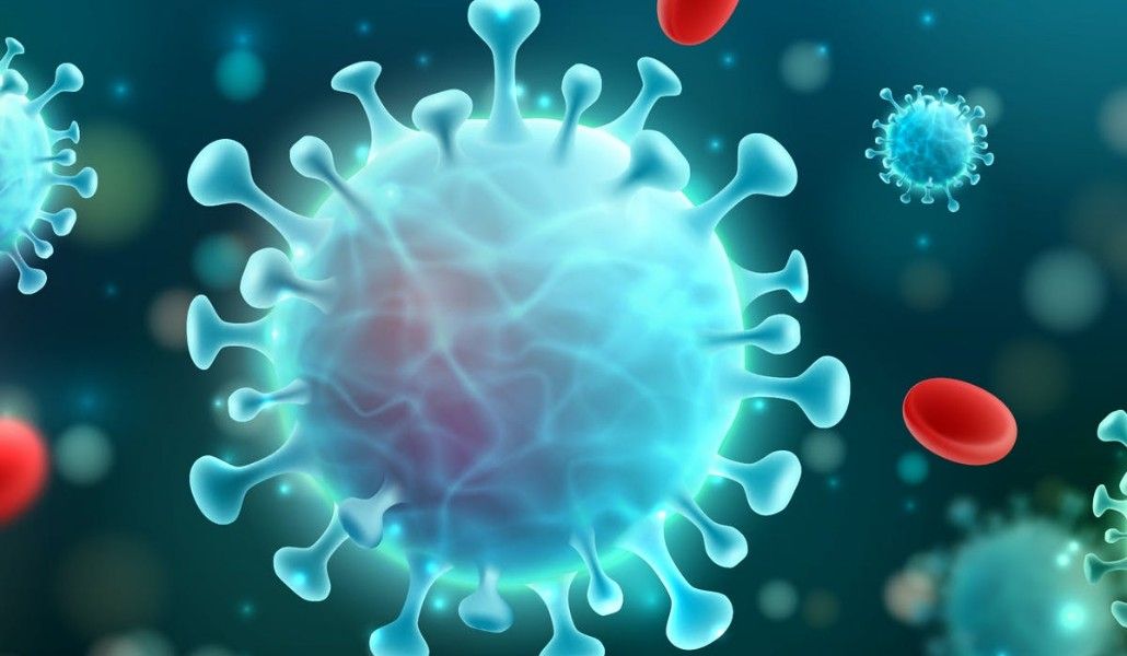 file-20210121-21-ba0h1m