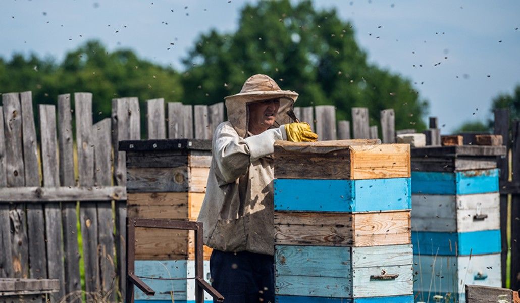 beekeeper_800x640