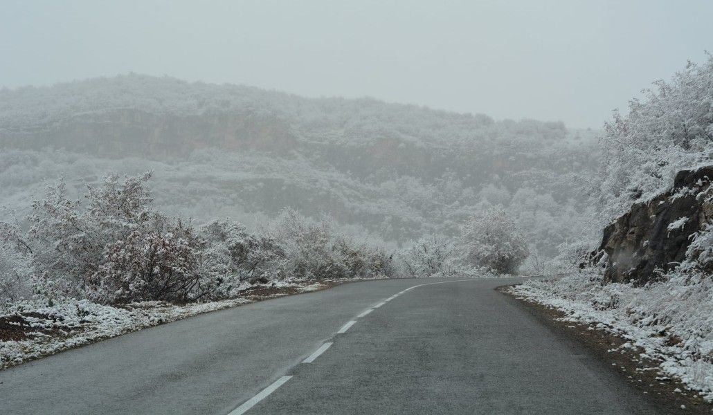 153506238_4136380206396423_7927708508232696291_o