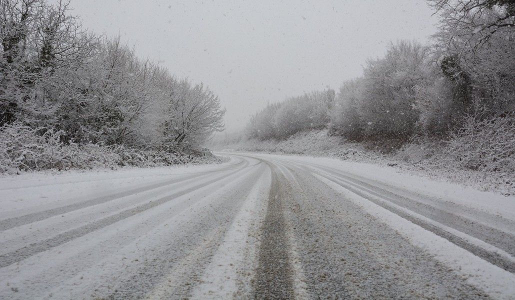 155217184_4163563657011411_4223830454656711952_o (1)