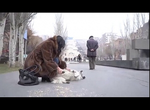 Наира Зограбян и собака: Видеоматериал депутата