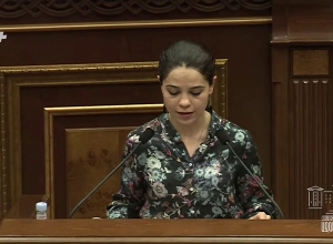 Татевик Айрапетян приносит извинения