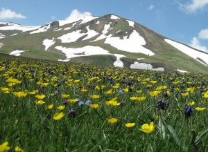 Гагик Суренян сообщил, когда мы будем «двигаться в направлении весны»