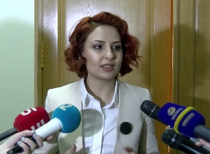 Брифинг Ани Самсонян