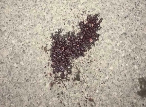 Ծեծել էր համագյուղացուն, որն օրեր անց մահացել էր