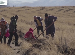«Всё, что нужно знать о посадке дерева»