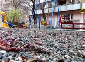 Սարյան փողոցում երկու տղամարդու են դանակահարել