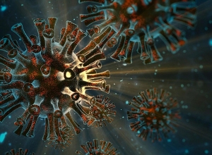 Covid19: 536 new cases