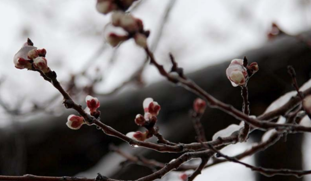 Безымянныйմ