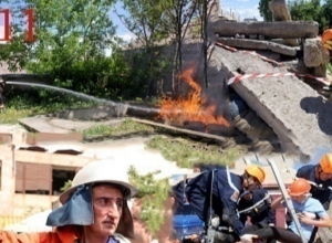 385 cases in total, 167of which were emergent and 17 deaths