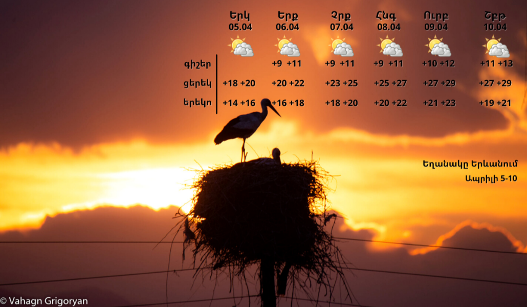 169584357_1164635153982826_1437891965216061352_n (1)