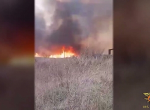 Fire in Pshatavan village was extinguished