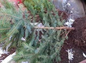 Պետական հասարակական ունեցվածքի գողության դեպք է բացահայտվել