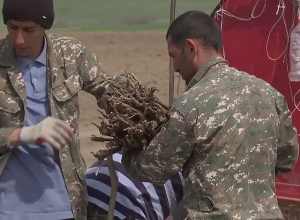 ԼՂ-ում պայթյունավտանգ առարկաներից մաքրված դաշտերում խաղող են տնկում