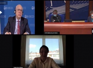 &quot;Armenian prisoners of war, other captives and displaced persons&quot; - discussion at the Parliamentary Assembly