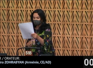 Նաիրա Զոհրաբյանի ելույթը ԵԽԽՎ-ում