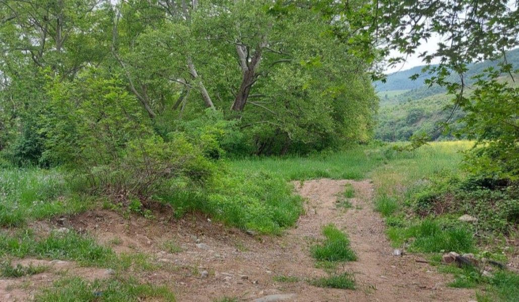 179153552_2739543409627671_5836331740024435354_n