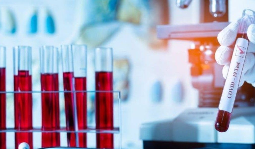 171656974_2866068203666402_7041312960507590016_n (1)