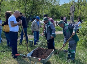 «Նախշուն Հադրութը» ՀԿ-ն ծառատունկ է իրականացրել «Վերածննդի» այգում