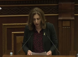 Софья Овсепян зачитала письмо арцахцев НС