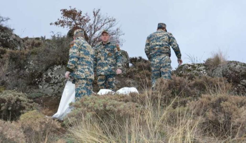 դիերի որոնում1