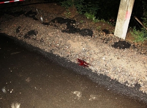 Наезд с летальным исходом в Алаверди