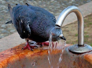 Температура повысится на 5-7 градусов