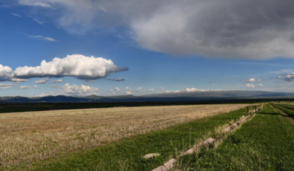 Безымянный