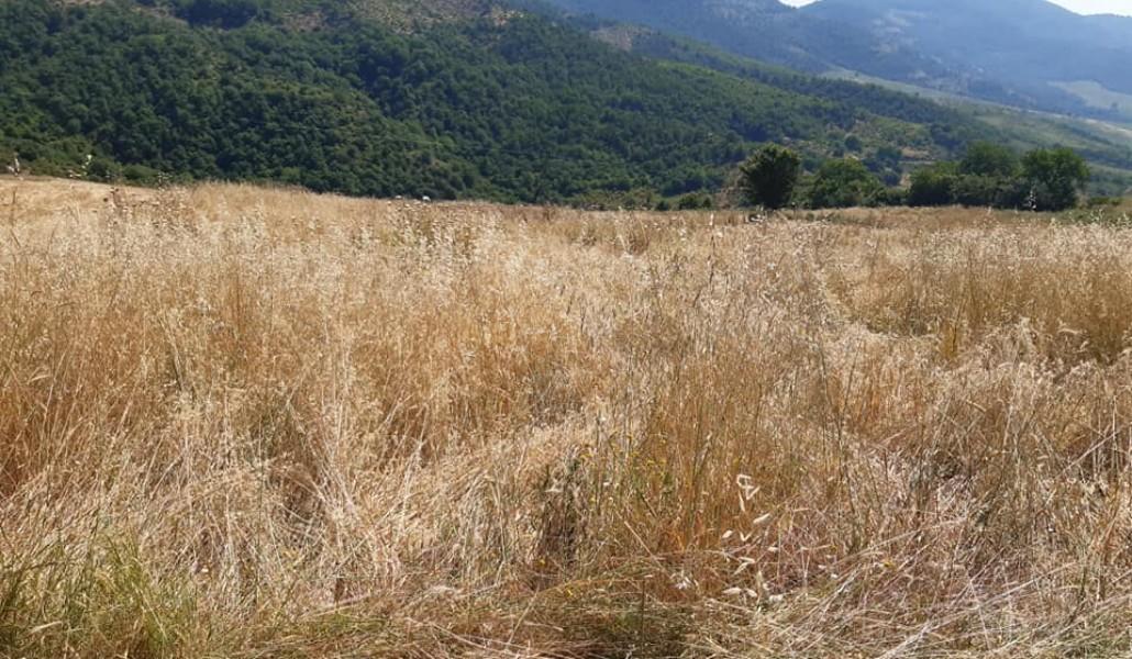 200198685_4049764811806963_4054865500676599170_n