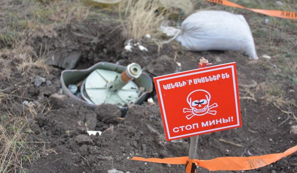 198357381_4476404652393975_3519096378344087759_n