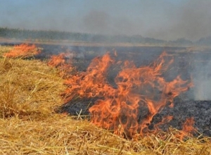 Հրդեհ Նոյեմբերյան քաղաքում