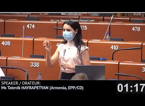 Ադրբեջանցի գործընկերներ,եթե խաղաղություն եք ուզում՝ հարկադրեք ձեր բռնապետ  Ալիևին դուրս գալ ՀՀ ինքնիշխան տարածքից․ Տաթեւիկ Հայրապետյան