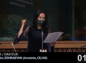 Я потребовала приостановить полномочия азербайджанской делегации в ЕС: Наира Зограбян