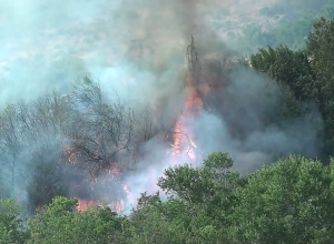 Հեռուստաաշտարակի մոտակայքում բռնկված հրդեհը մարվել է