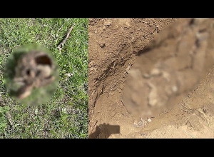 Սպանվածի մարմինն ու գլուխը հայտնաբերվեցին Հատիս գյուղի դաշտում