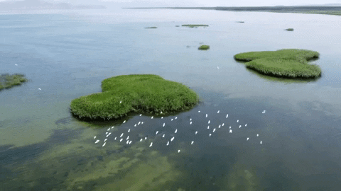 Կանխատեսվում է Սևանա լճի մակարդակի բարձրացում 24-29 սմ-ով