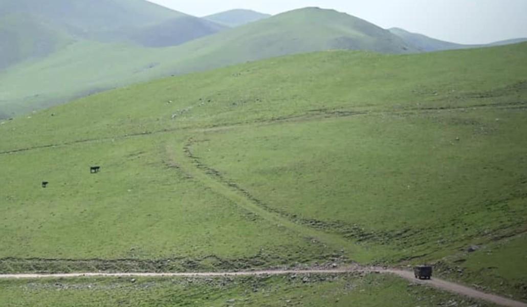 213070310_885333368732536_2472199443885197948_n