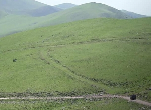 Азербайджанские военнослужащие похитили животных у несовершеннолетнего ребёнка в Хнацахе: Омбудсмен
