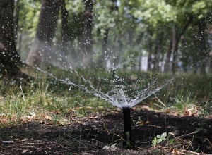 Քանաքեռ ՀԷԿ-ի հարակից զբոսայգու 3 հա տարածքն  այցելուներին ներկայանում է նորովի