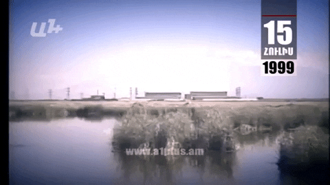 Календарь. 15 июля: Против инфекции малярии борются рыбами вида гамбузия