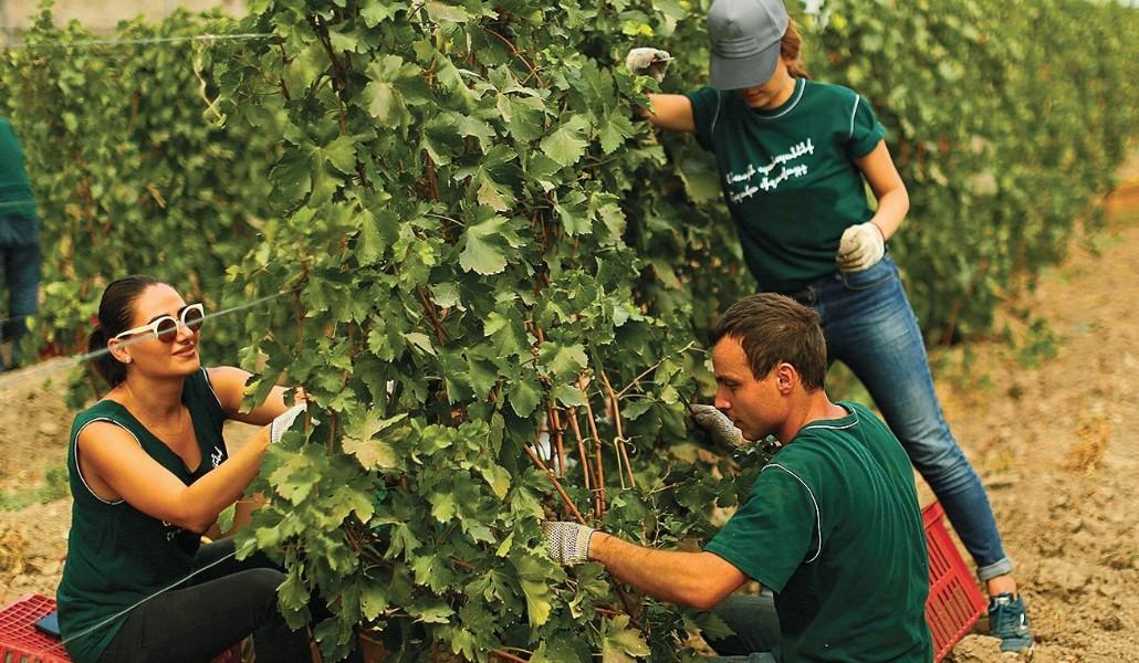 226860650_1236864243426583_210969310209217477_n