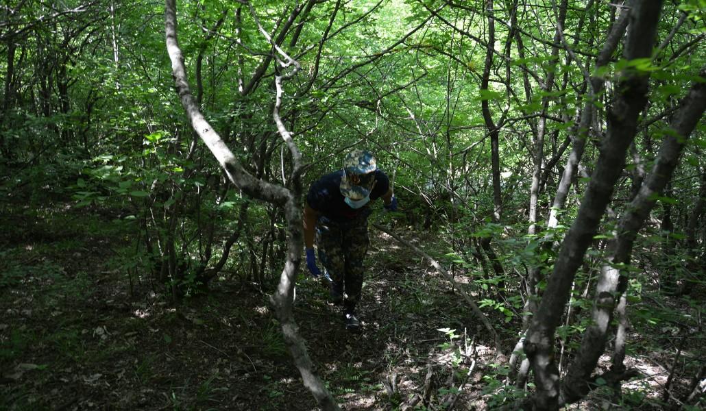 աճյունների որոնում