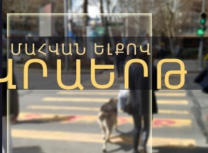 Վրաերթի ենթարկված կինը մահացել է