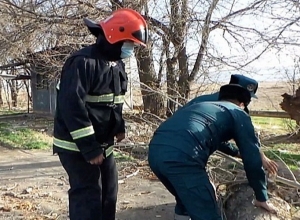 Ծառն ընկել է և մասամբ փակել ճանապարը
