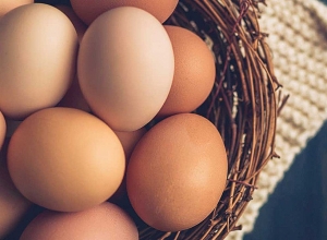 Ձվի իրացման ոլորտի 3 խոշոր ընկերությունների նկատմամբ տուգանք է կիրառվել գերիշխող դիրքի չարաշահման համար