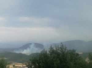 Потушен пожар, возникший в приграничной части Сюника