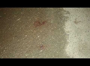 Հաղորդումից մեկ ժամ անց դանակահարությունը բացահայտվեց