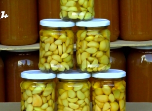 Ֆրանսիական օրինակը Հայաստանում չաշխատեց․ ոչ մի հարուստ մեքենային չմոտեցավ